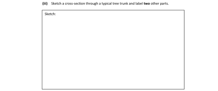 Question 2023 - 1 Part 1