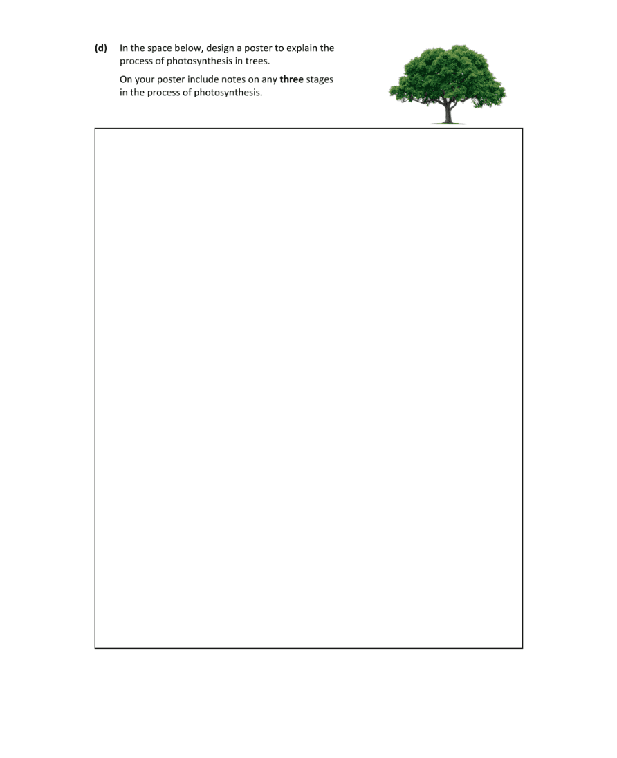 Question 2022 - 3 Part 2
