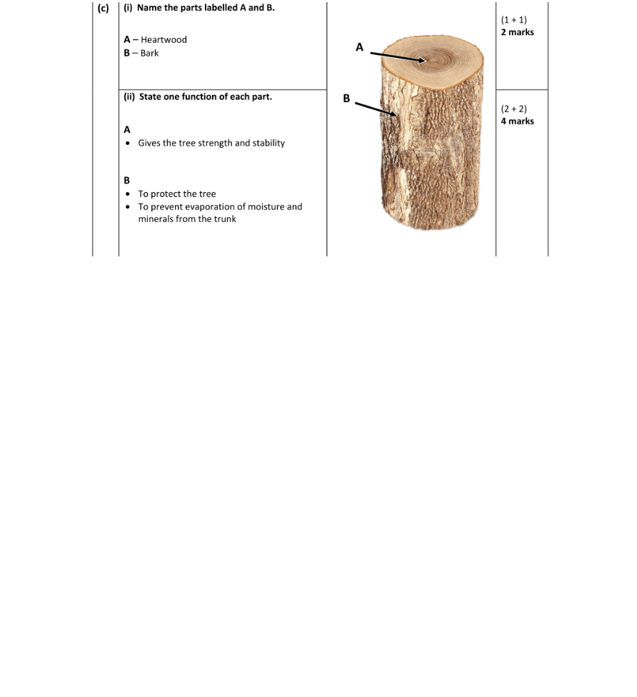 Marking Scheme Part 3