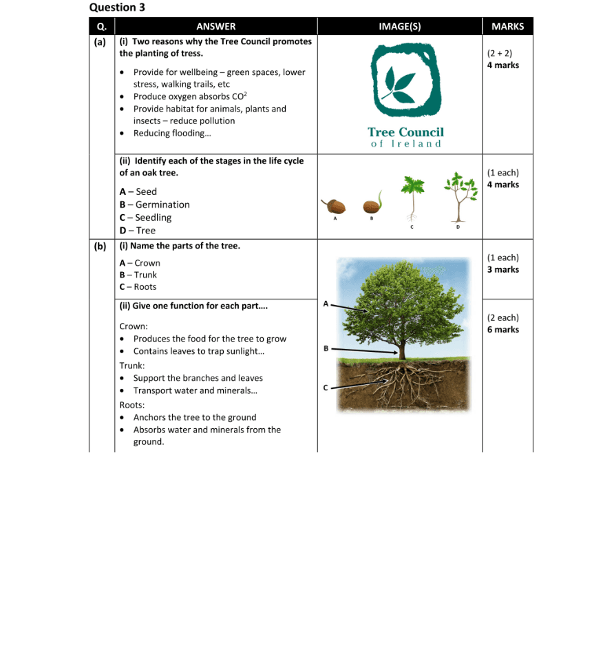 Marking Scheme Part 1