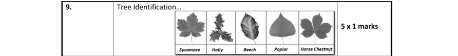 Marking Scheme Part 1