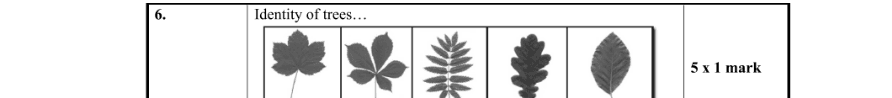 Marking Scheme Part 1