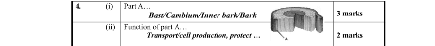 Marking Scheme Part 1