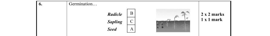 Marking Scheme Part 1