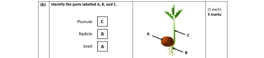Marking Scheme Part 2