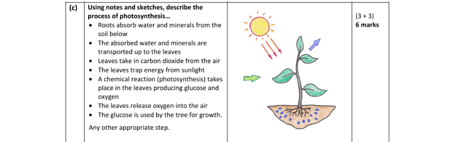 Marking Scheme Part 3