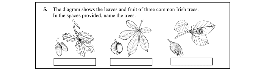 Question 2009 - 5 Part 1