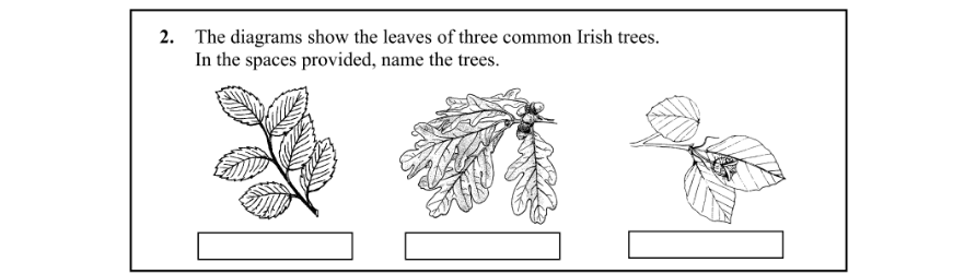 Question 2010 - 2 Part 1
