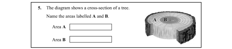 Question 2010 - 5 Part 1
