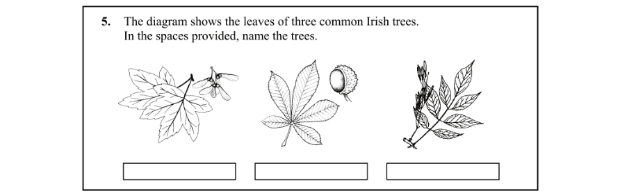 Question 2011 - 5 Part 1