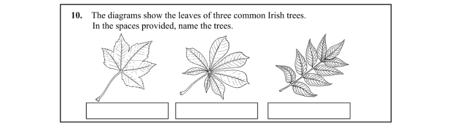 Question 2012 - 10 Part 1