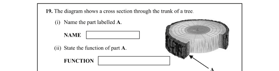 Question 2012 - 19 Part 1