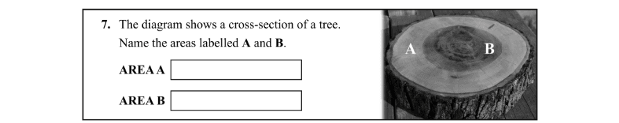 Question 2013 - 7 Part 1