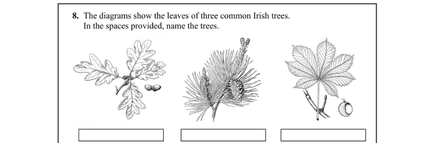 Question 2013 - 8 Part 1