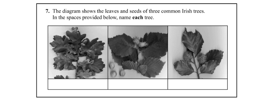 Question 2014 - 7 Part 1