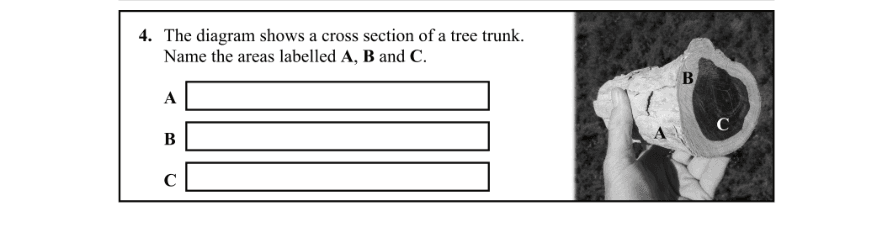 Question 2015 - 4 Part 1