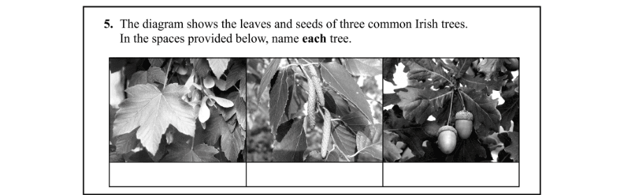 Question 2015 - 5 Part 1