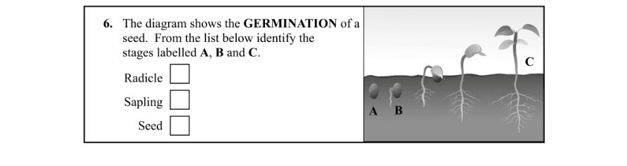 Question 2015 - 6 Part 1