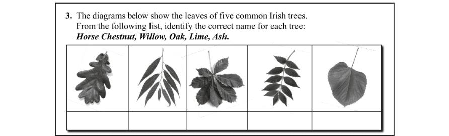 Question 2016 - 3 Part 1