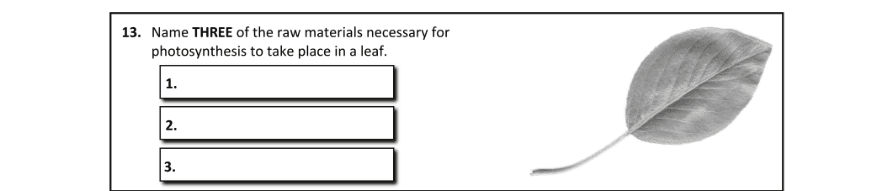 Question 2017 - 13 Part 1