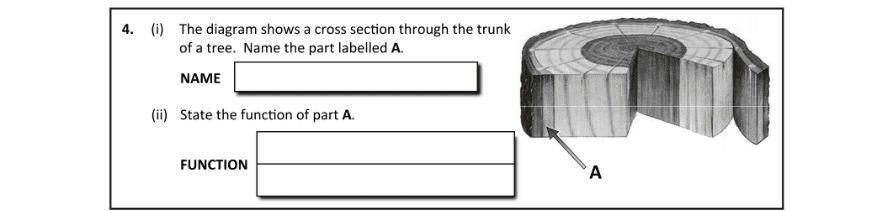 Question 2017 - 4 Part 1