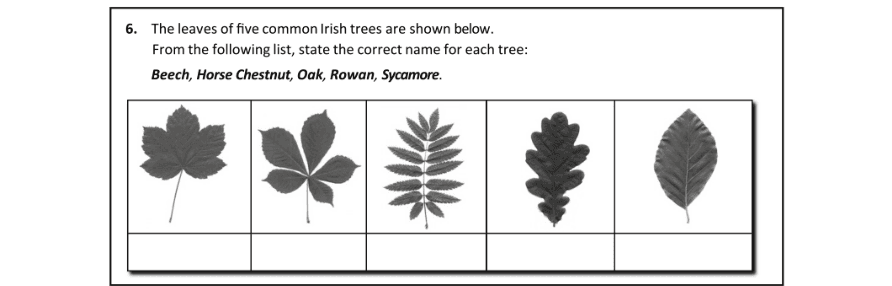 Question 2017 - 6 Part 1