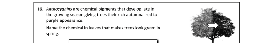 Question 2018 - 16 Part 1