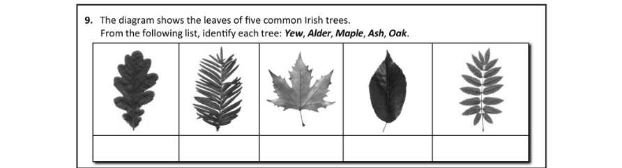 Question 2018 - 9 Part 1