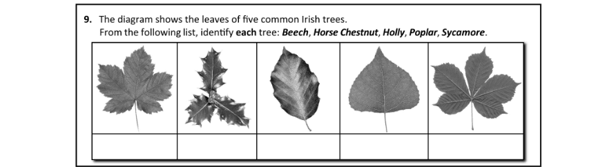 Question 2019 - 9 Part 1