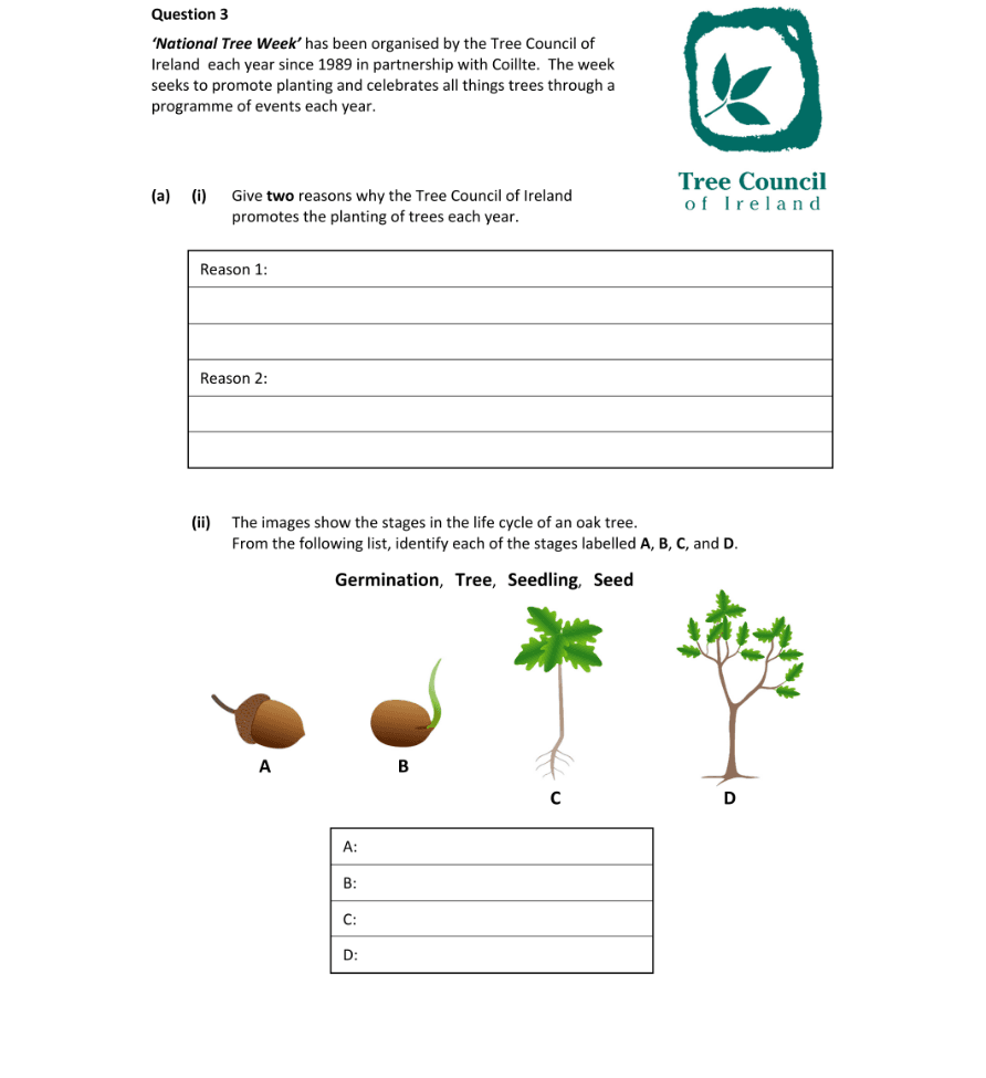 Question 2022 - 3 Part 1