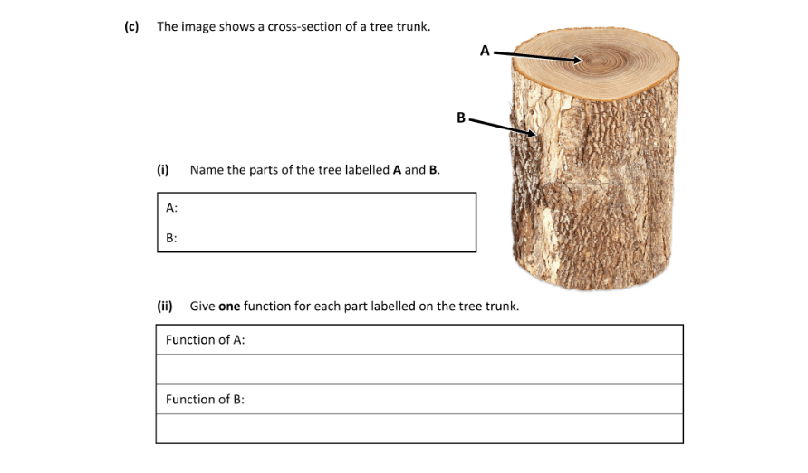 Question 2023 - 1 Part 3