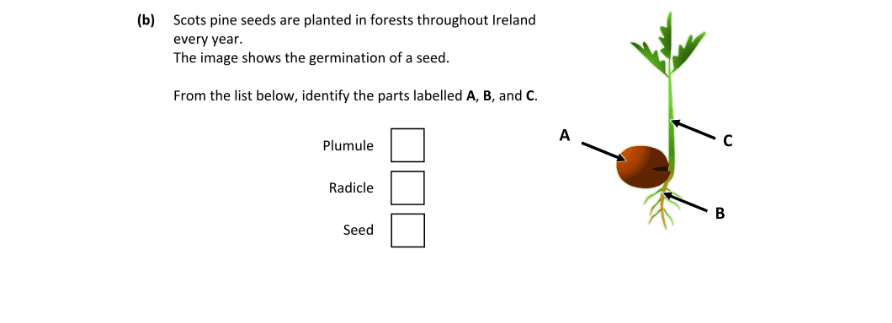 Question 2025 - 1 Part 2