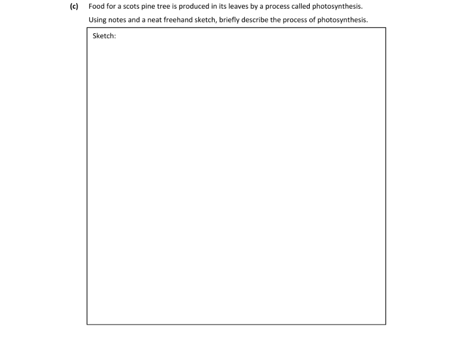 Question 2025 - 1 Part 3