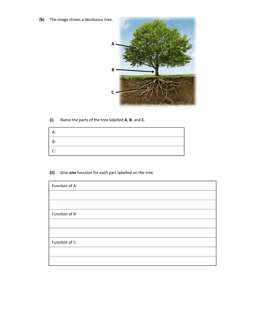 Question 2022 - 3 Part 2